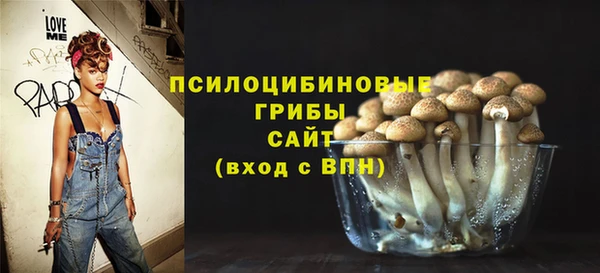 прущая мука Нея