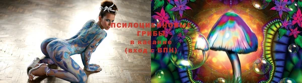 мяу мяу мука Нефтекумск