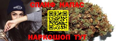прущие грибы Бийск