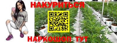 прущие грибы Бийск