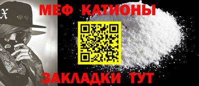 прущие грибы Бийск