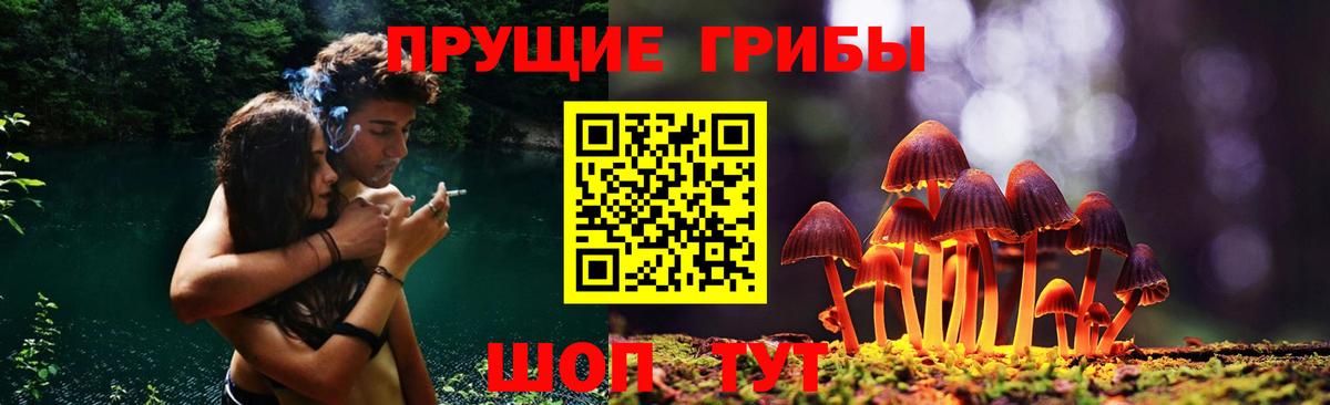 Псилоцибиновые грибы Psilocybe  Вход с VPN  Владимир 