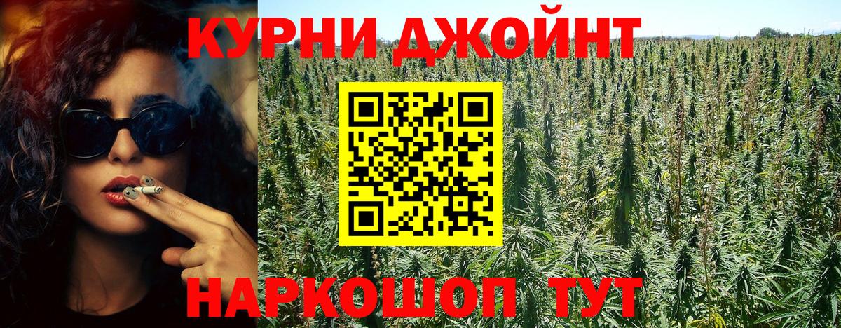 Бошки Шишки ГИДРОПОН Владимир