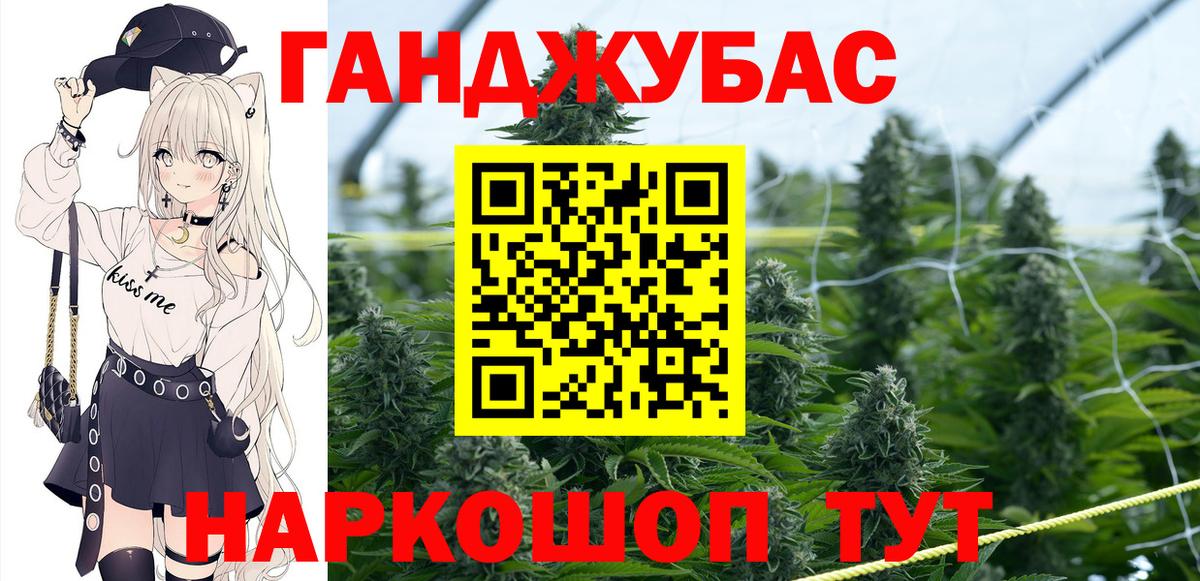 ГАШ Владимир